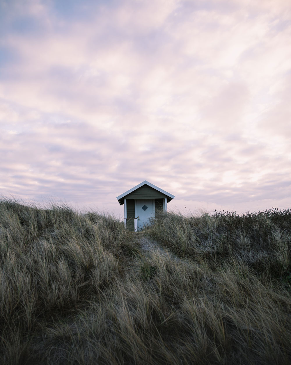 Falsterbo: Sæler i naturreservatet Måkläppen