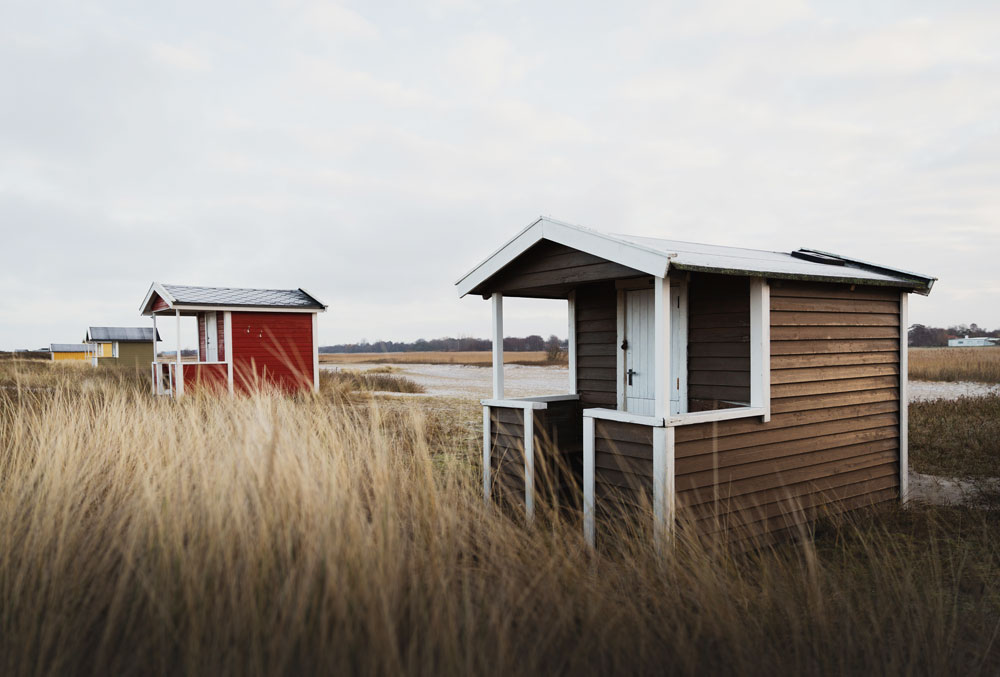 Falsterbo: Sæler i naturreservatet Måkläppen