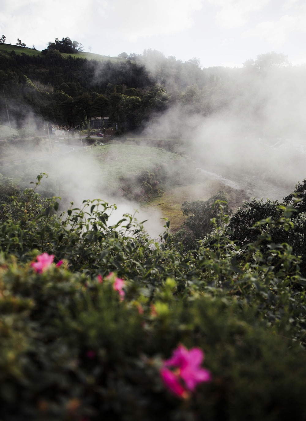 Caldeiras Das Furnas