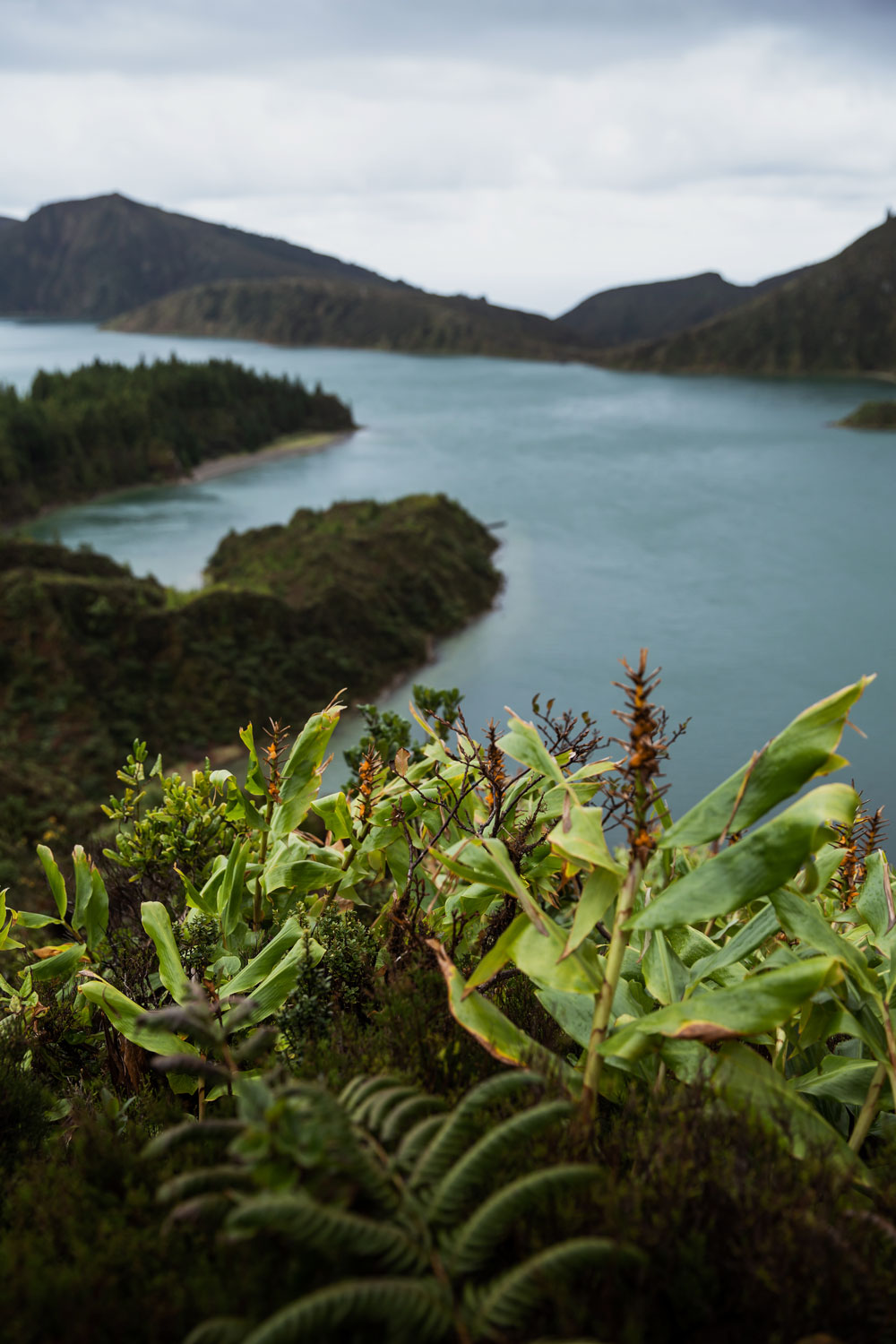 Azorerne - en rejseguide / Ildsøen (Lagoa Do Fogo)