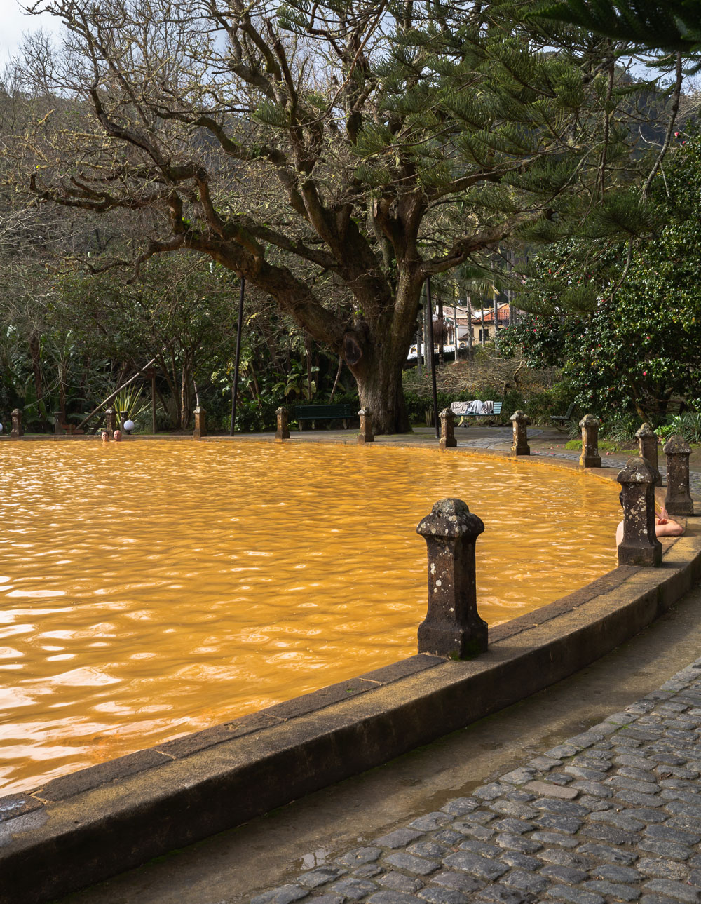 Azores itinerary to São Miguel - Fountain of Youth