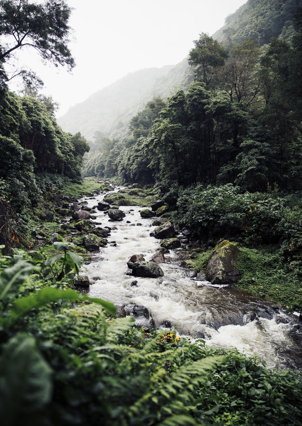 Azores itinerary to São Miguel - Salto Do Prego