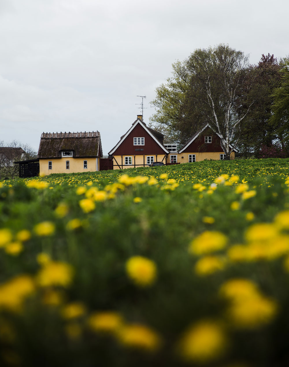 Vandretur på Sjælland: Tisvildevejen