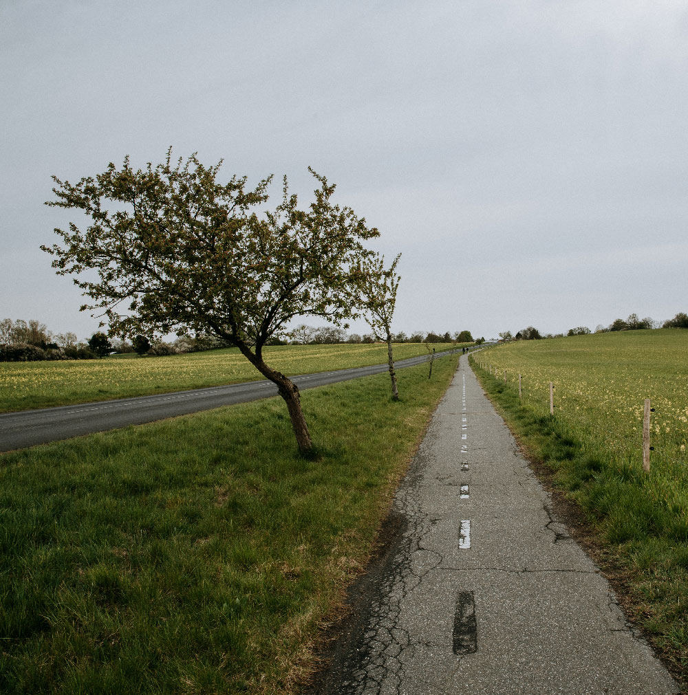 Vandretur på Sjælland: Tisvildevejen