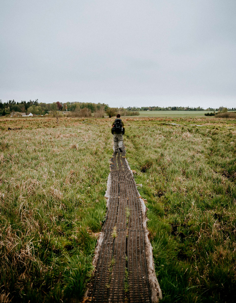 Vandretur på Sjælland: Ellemosen