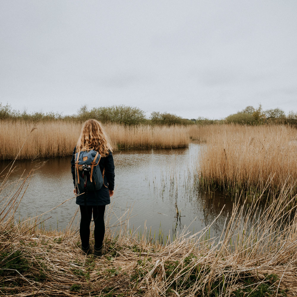 Vandretur på Sjælland: Ellemosen