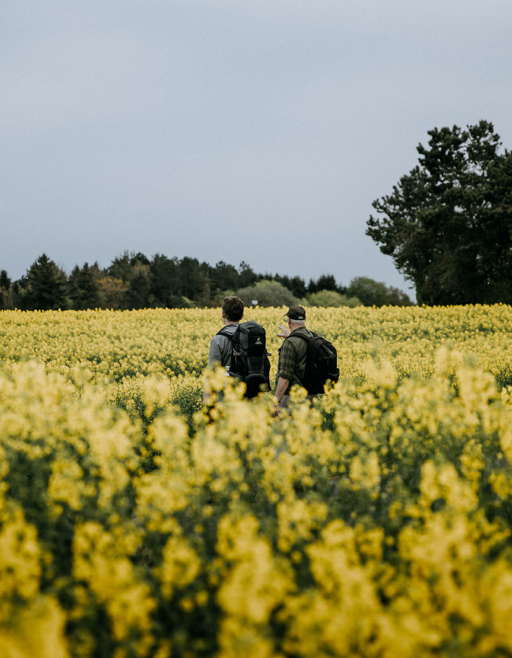 Vandretur på Sjælland: Tisvildevejen