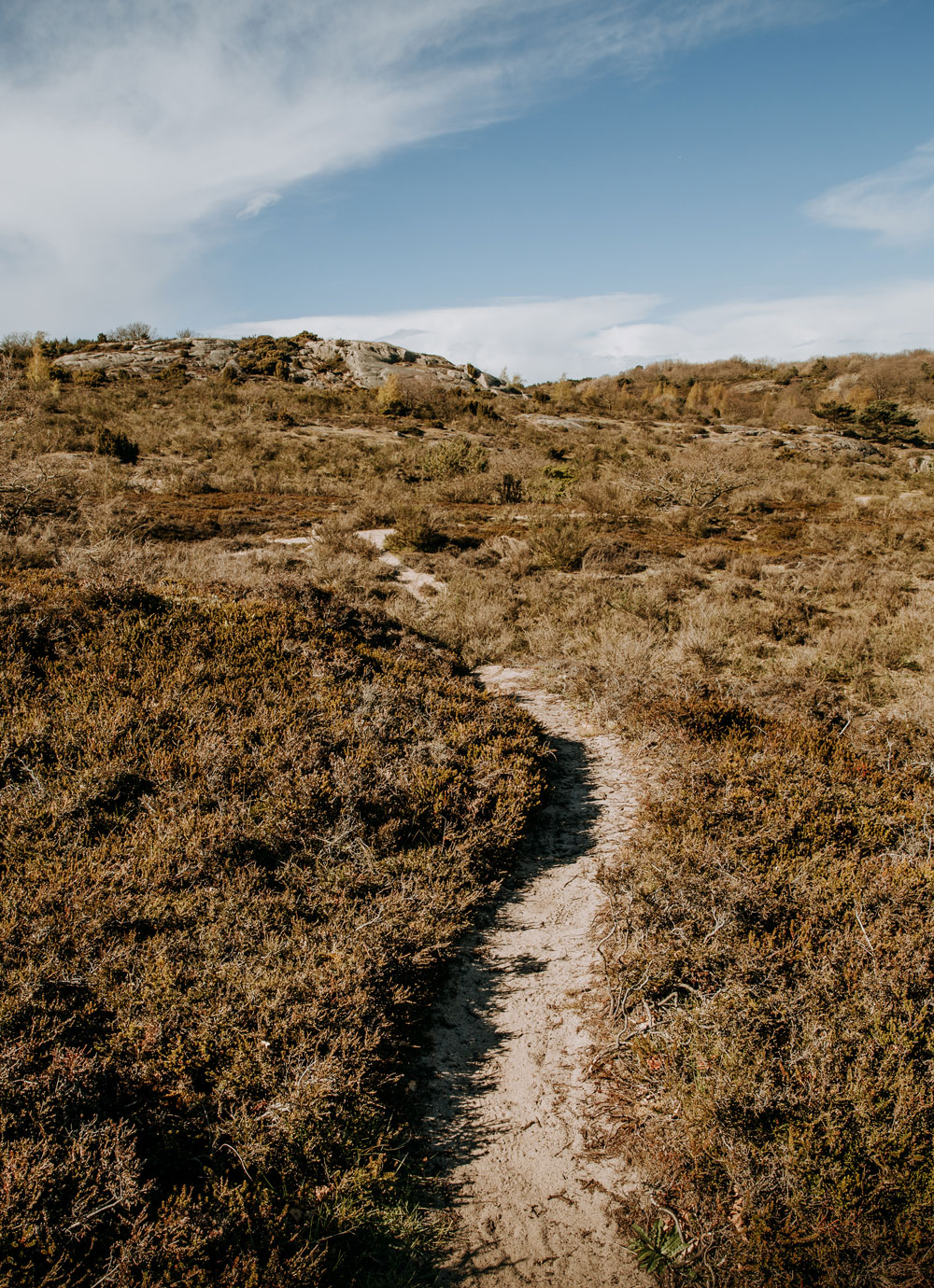 Hammerknuden - vandreture på Bornholm