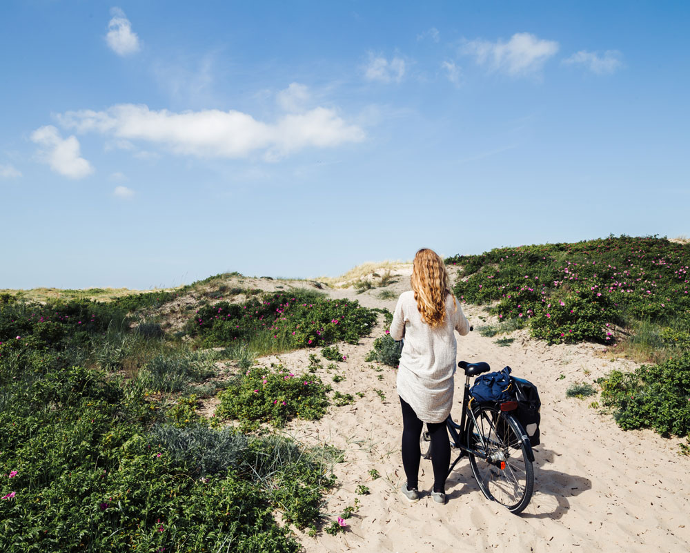 Nordkyststien - Cykelrute i Nordsjælland / Hornbæk Strand