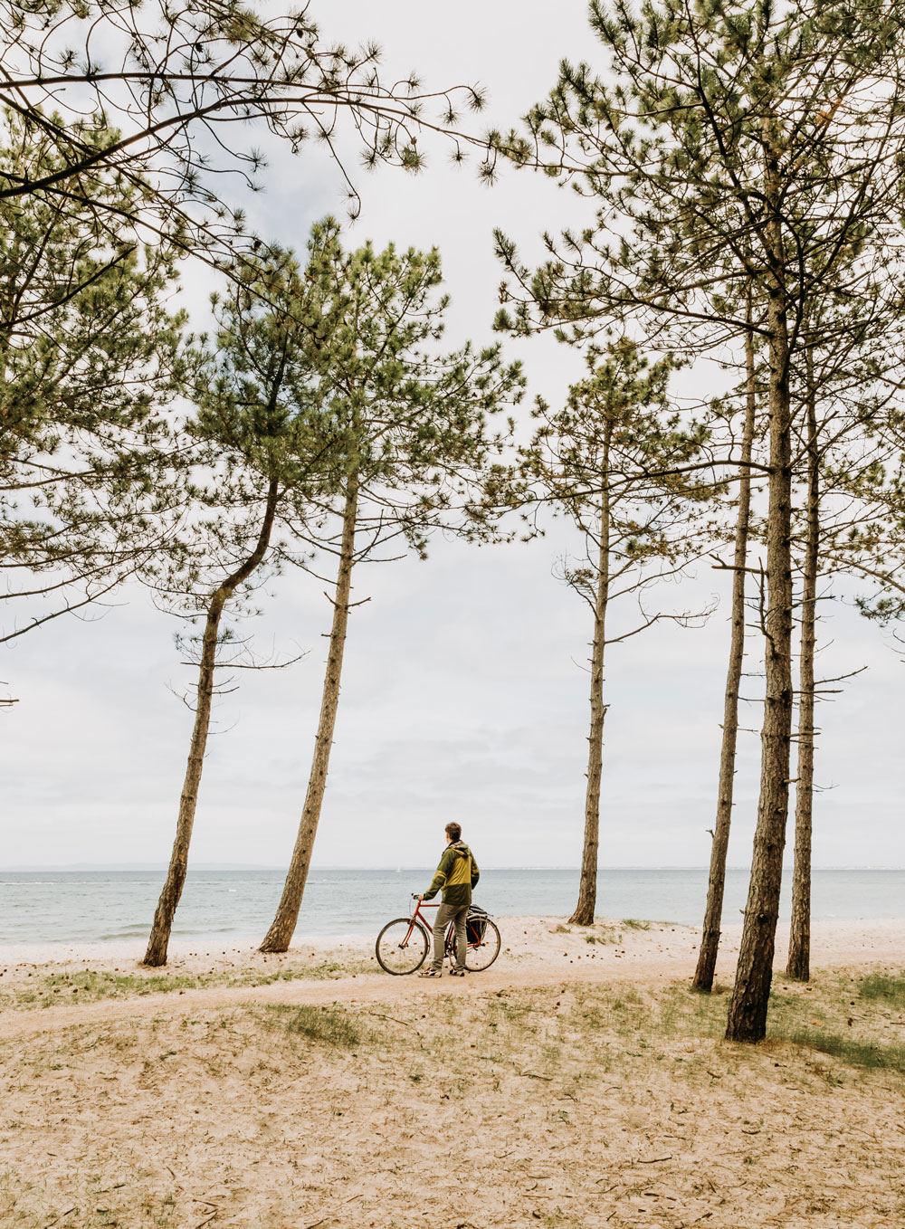 Cycling holiday in Denmark along the north coast of Sealand / Hornbæk Beach