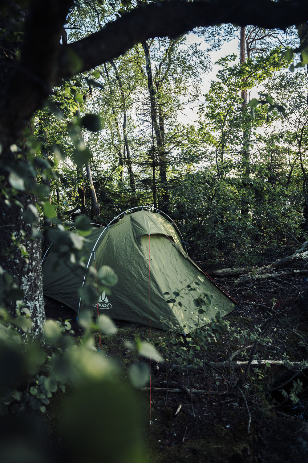 Canoe trip in Sweden with stay on our own island in Skåne's largest lake Ivösjön