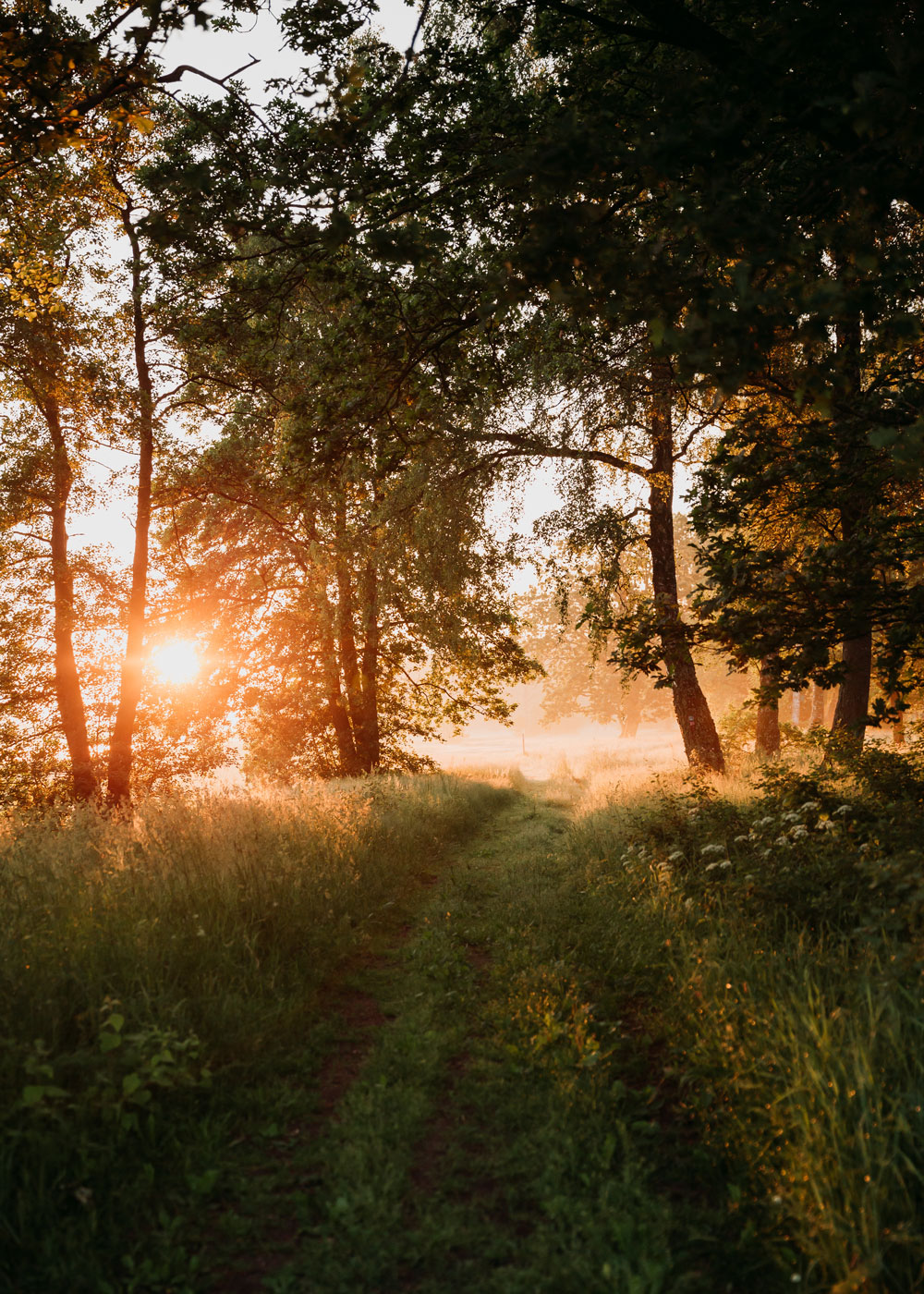 Hiking in Skåne: Hovdala nature area