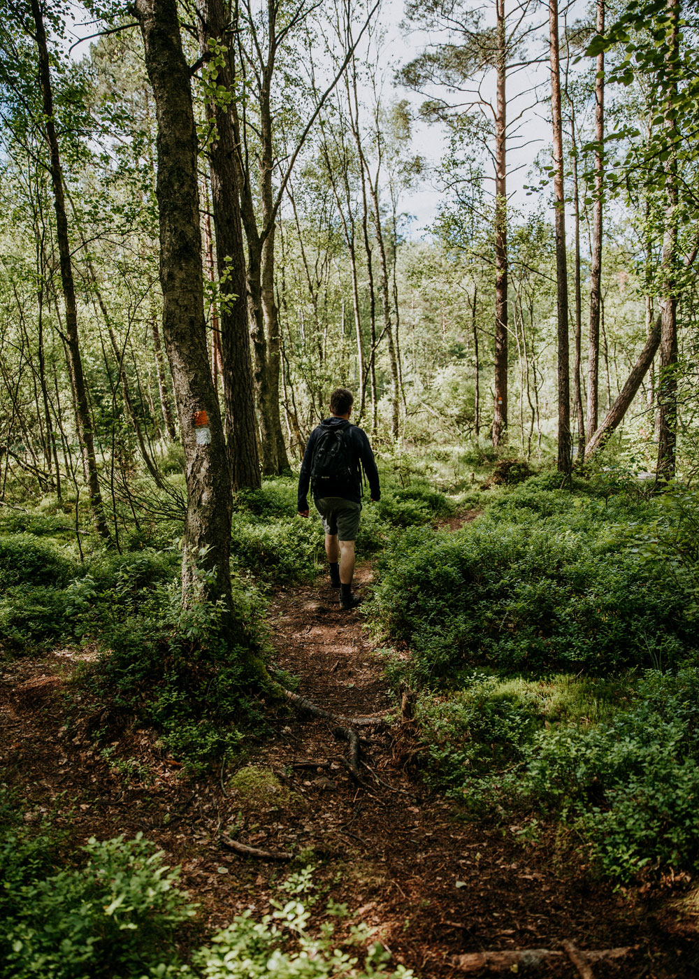 Vandring i Skåne: Naturområdet Hovdala