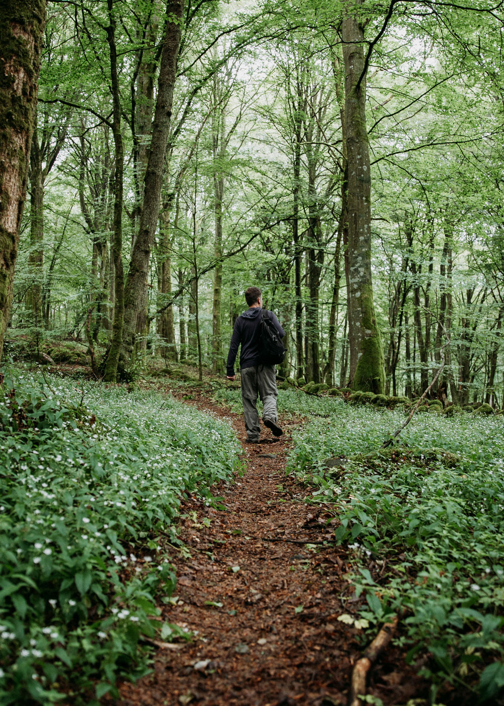 Hiking in Skåne: Hovdala nature area