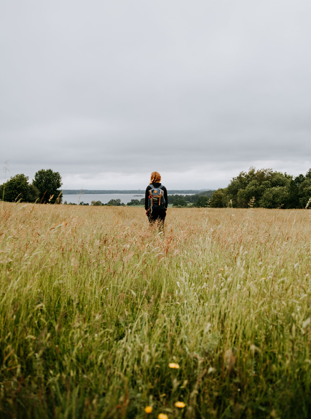 Hiking in Skåne: Hovdala nature area