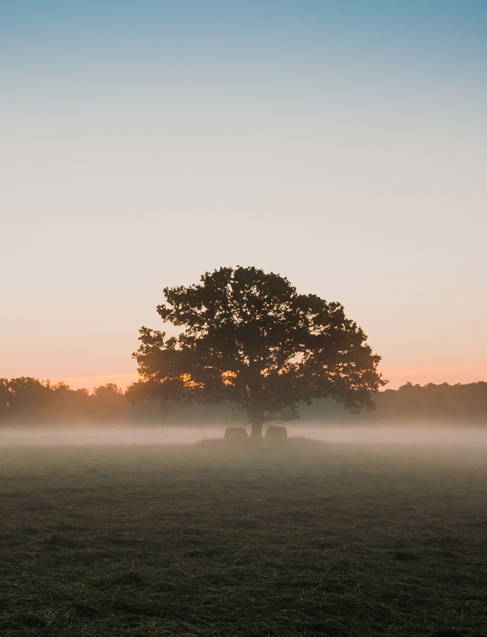 Vandring i Skåne: Naturområdet Hovdala - med overnatning i smukke birketræshelters