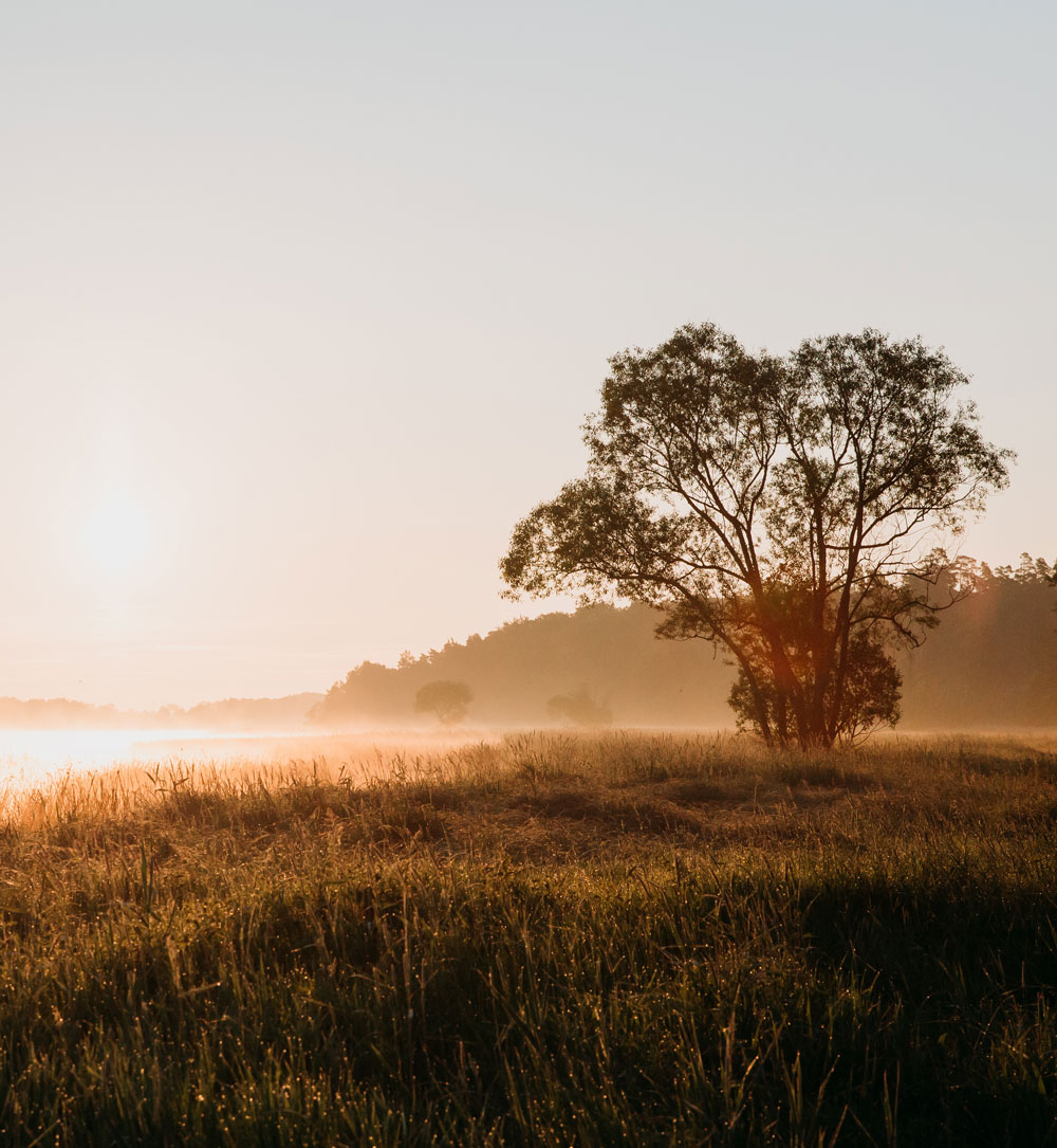 Vandring i Skåne: Naturområdet Hovdala - med overnatning i smukke birketræshelters