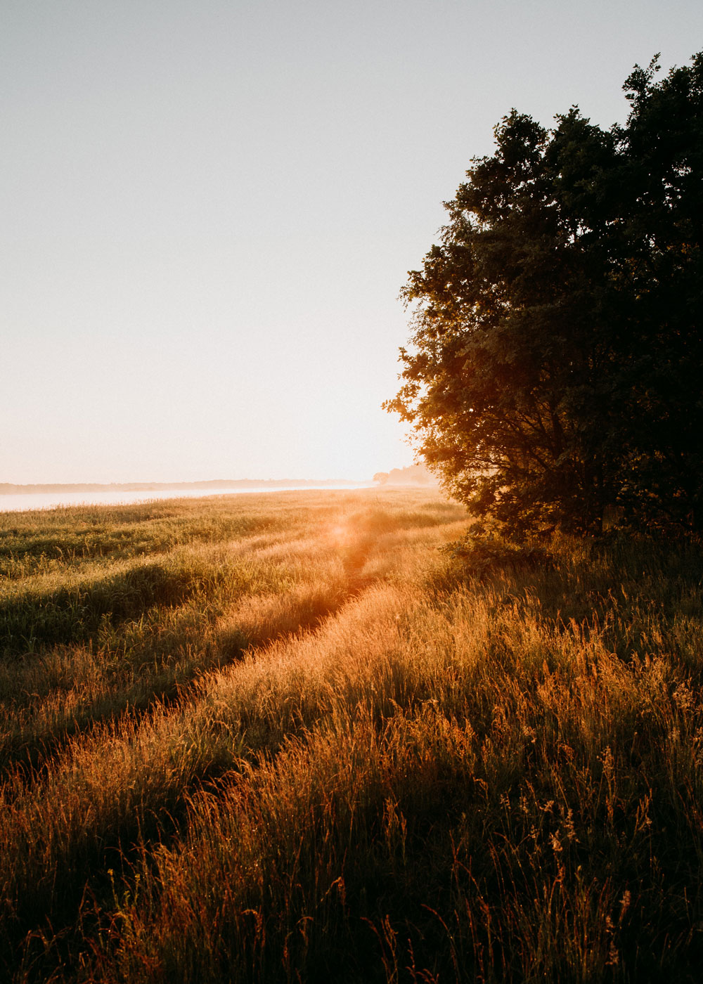 Hiking in Skåne: Hovdala nature area