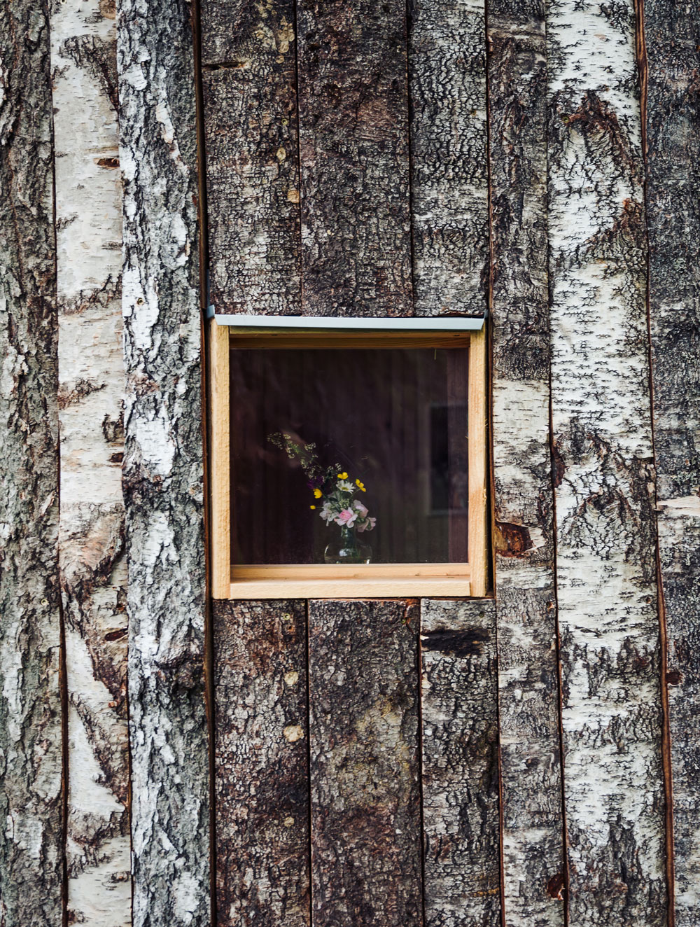 Hovdala nature area / the shelter Birka