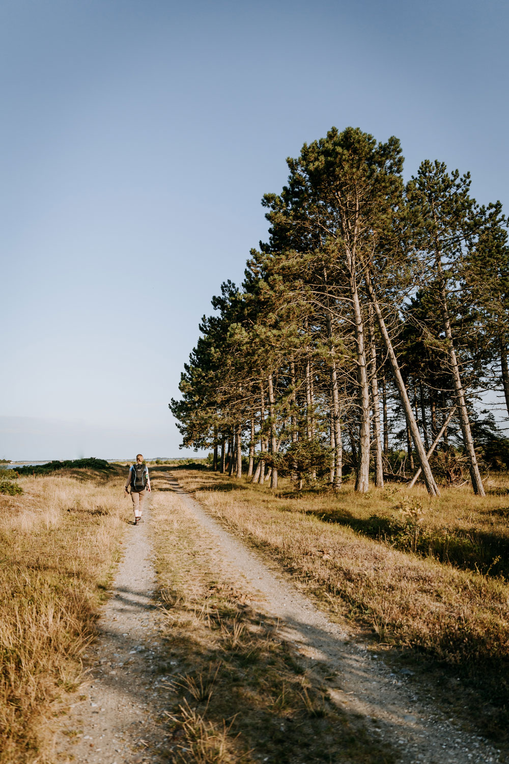 Glamping, vandreture og skønne naturseværdigheder på Nordfyn