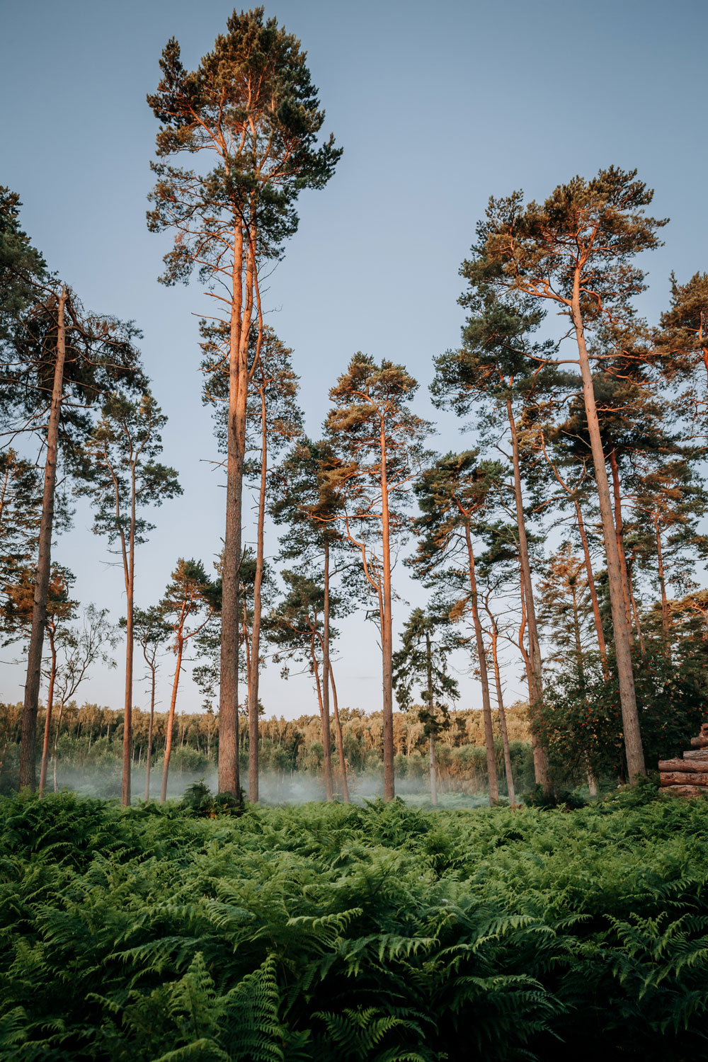 Glamping, vandreture og skønne naturseværdigheder på Nordfyn