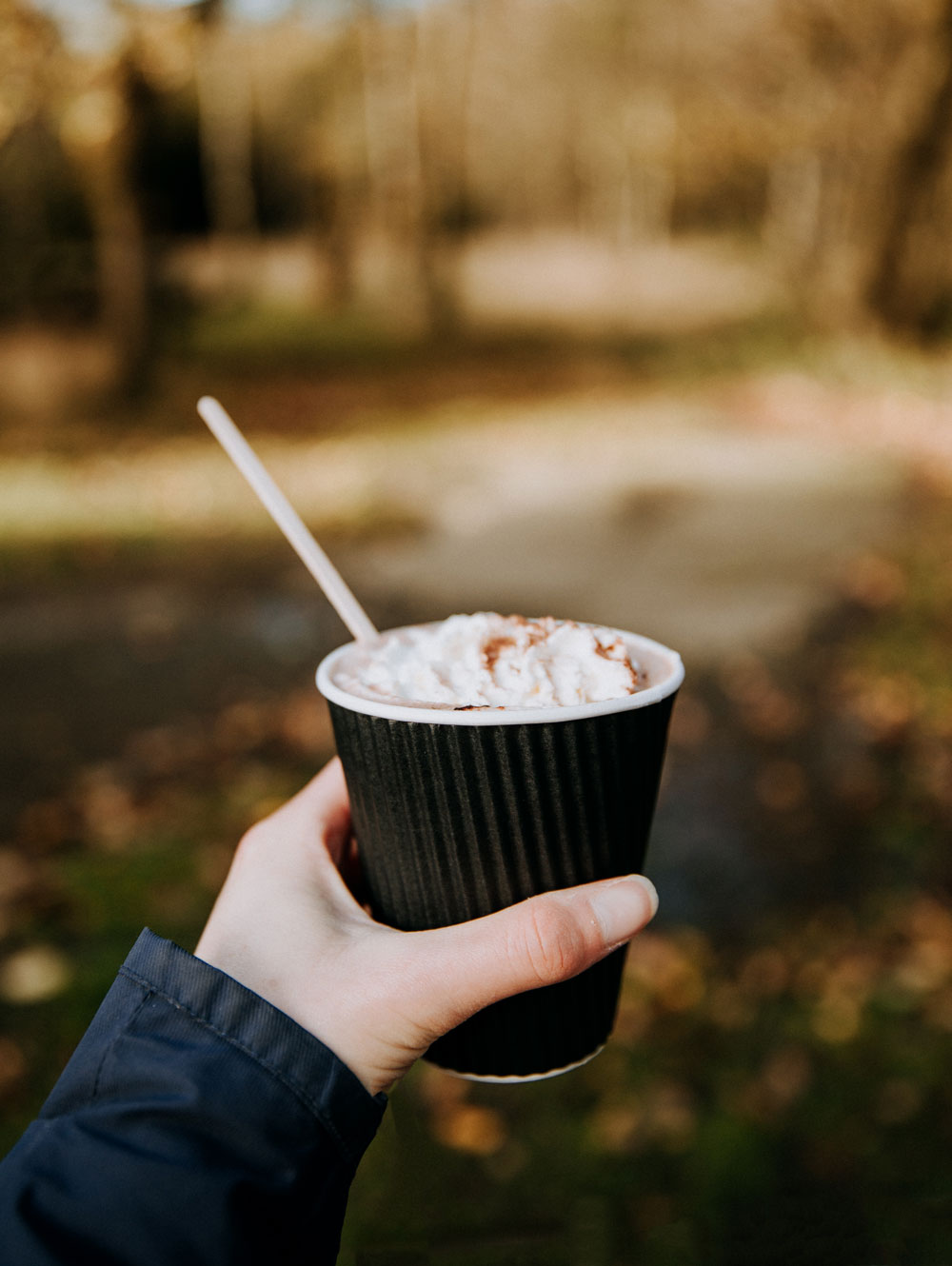 Cafe ved Rytterknægten i Almindingen på Bornholm