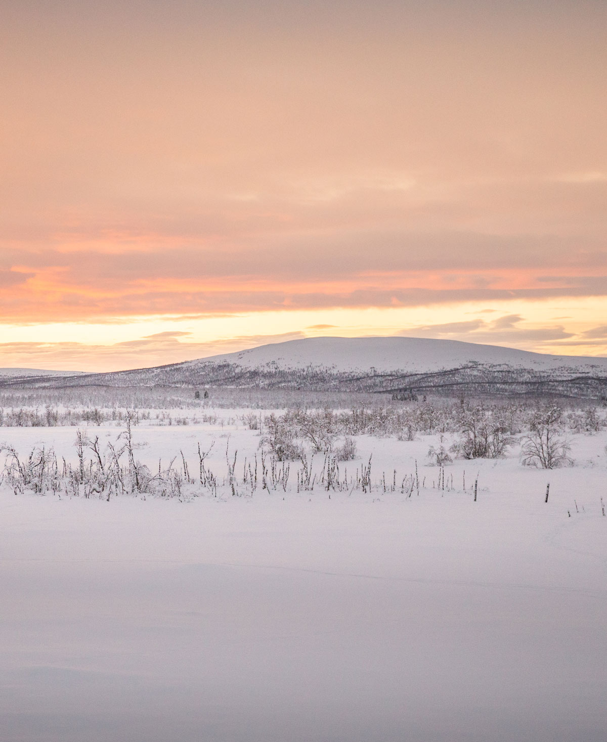 Med toget til Abisko 