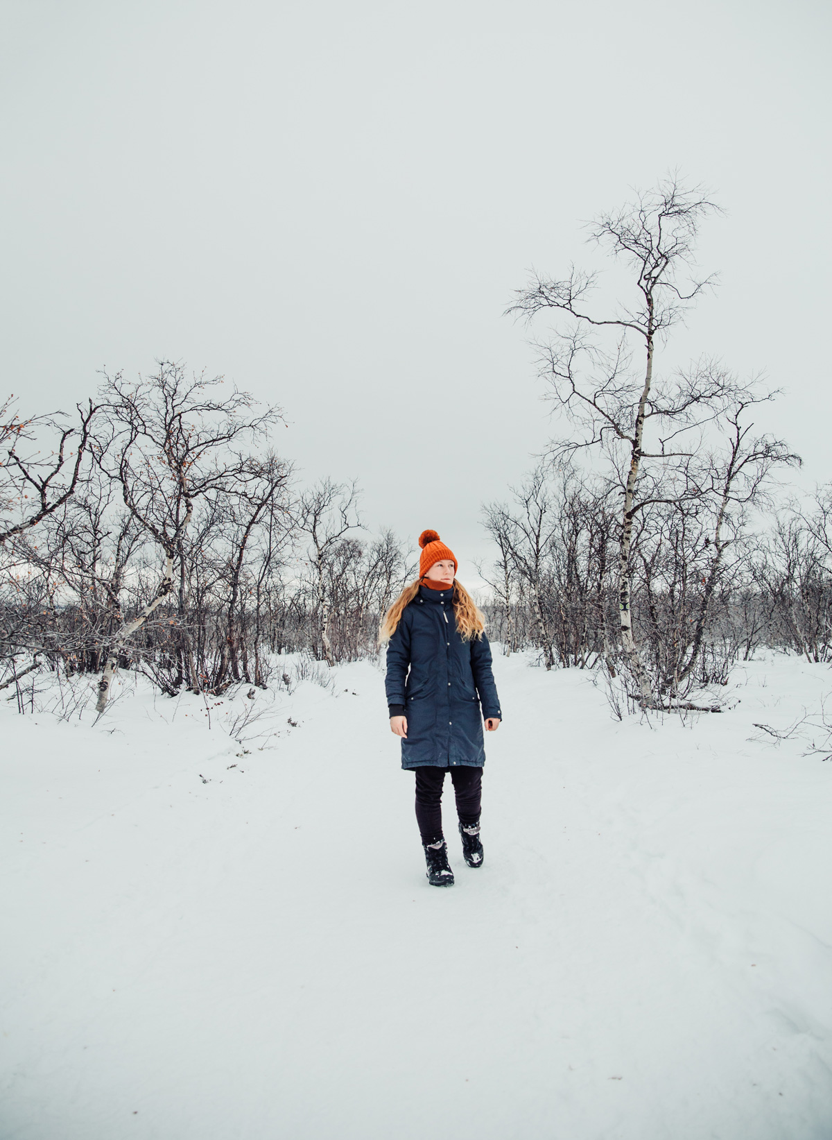 Vinter i Abisko Nationalpark