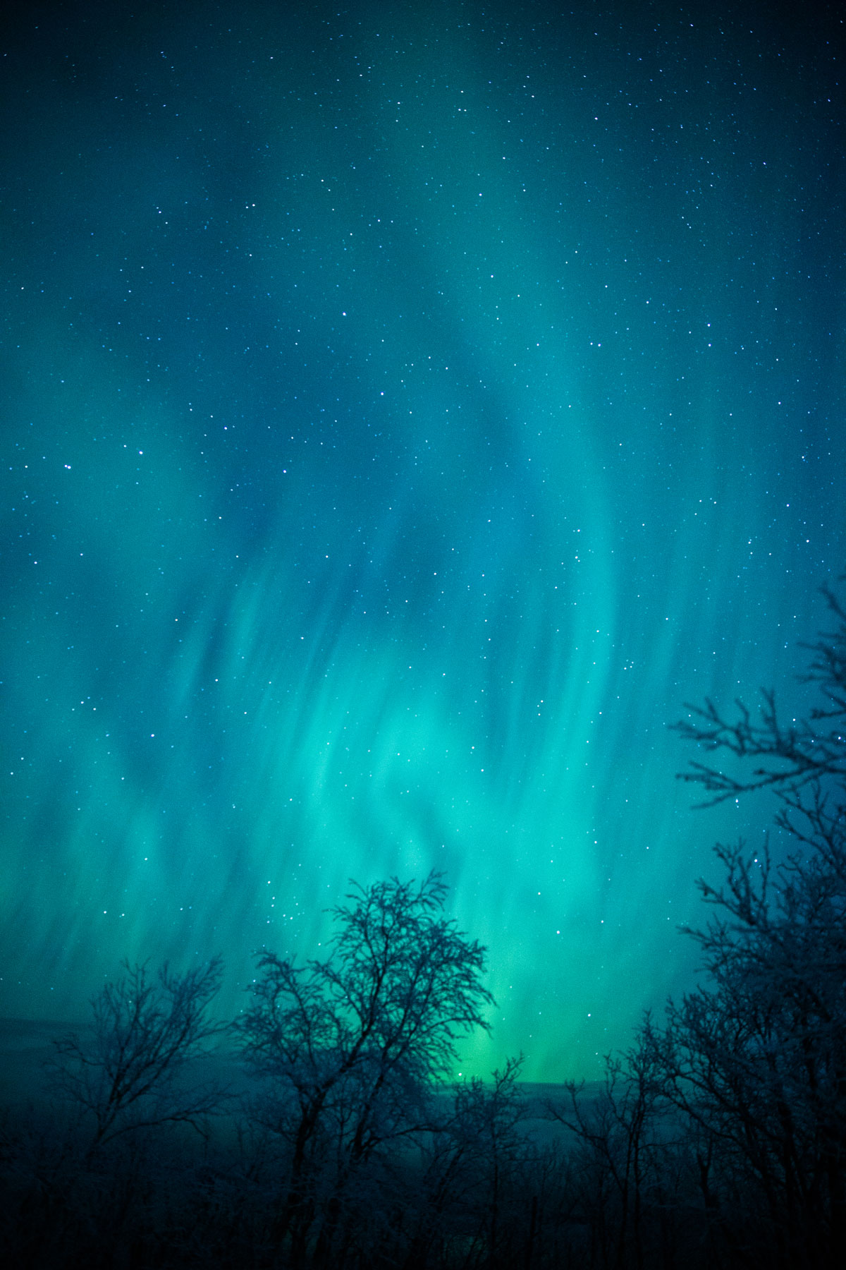 Nordlys Abisko