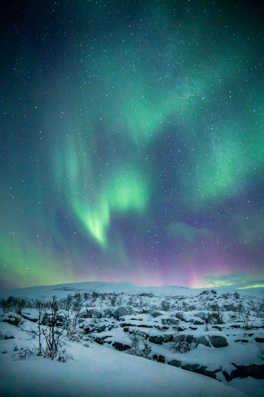 nordlys i Tromsø