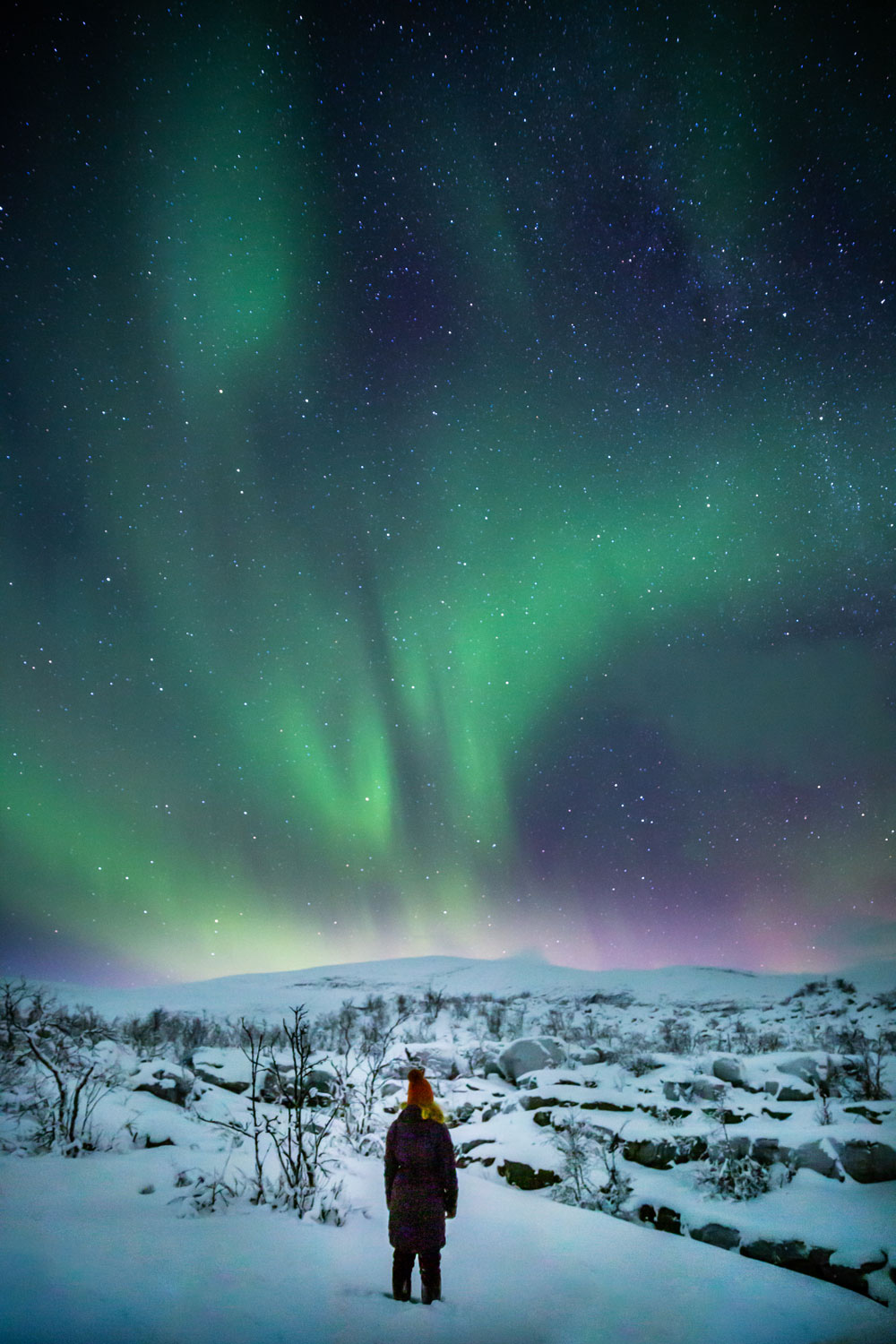 På nordlyssafari i Tromsø