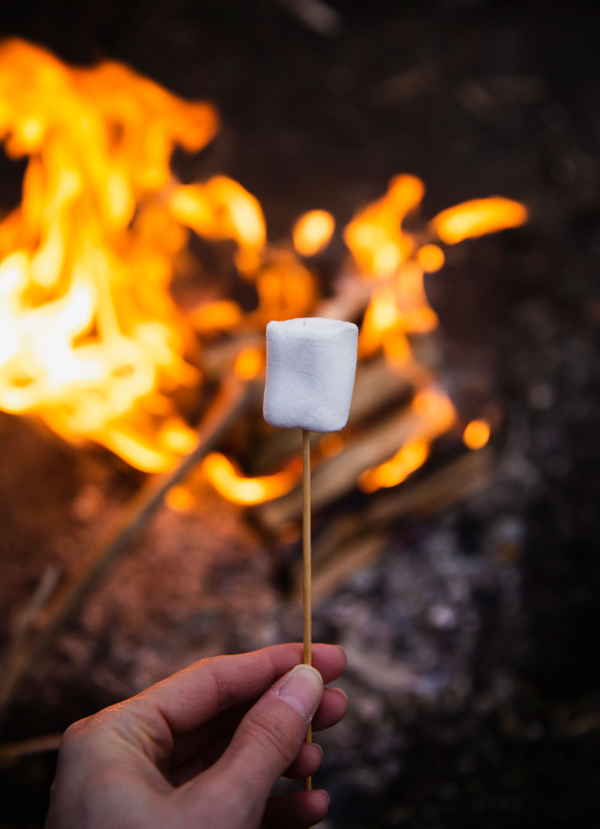 Bålhygge - med guide til bålpladser i Danmark og opskrift på snobrød