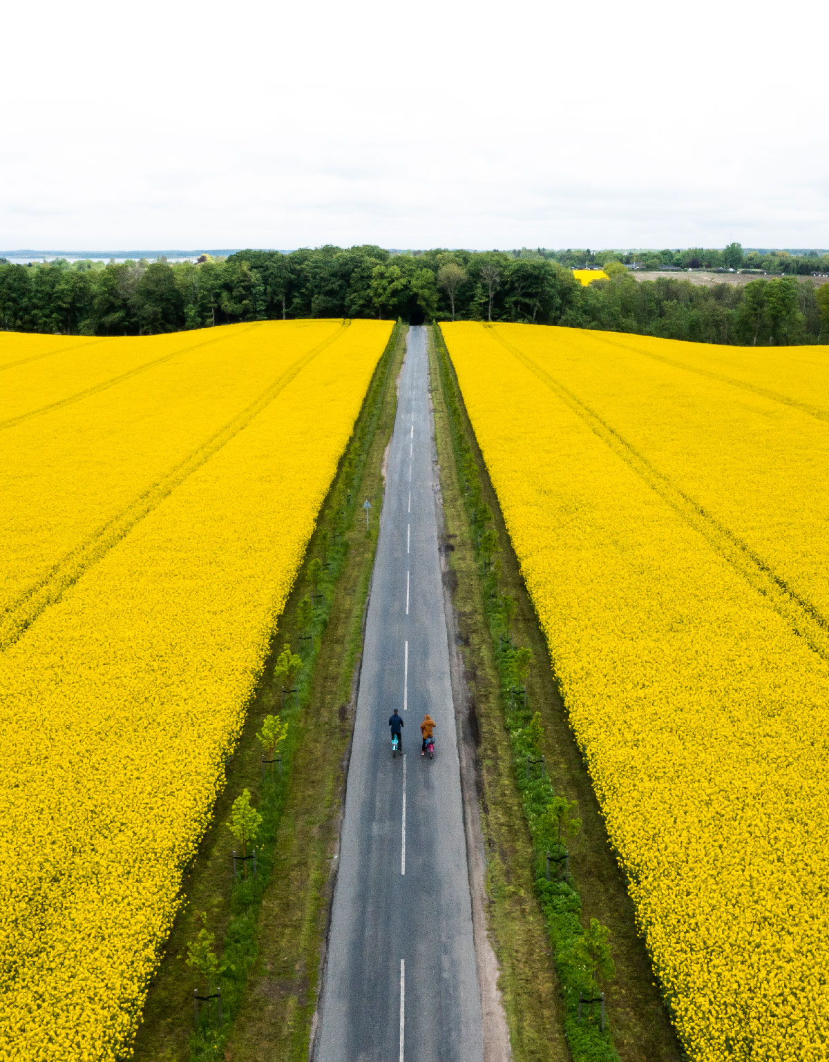 Fjordstien på cykel 