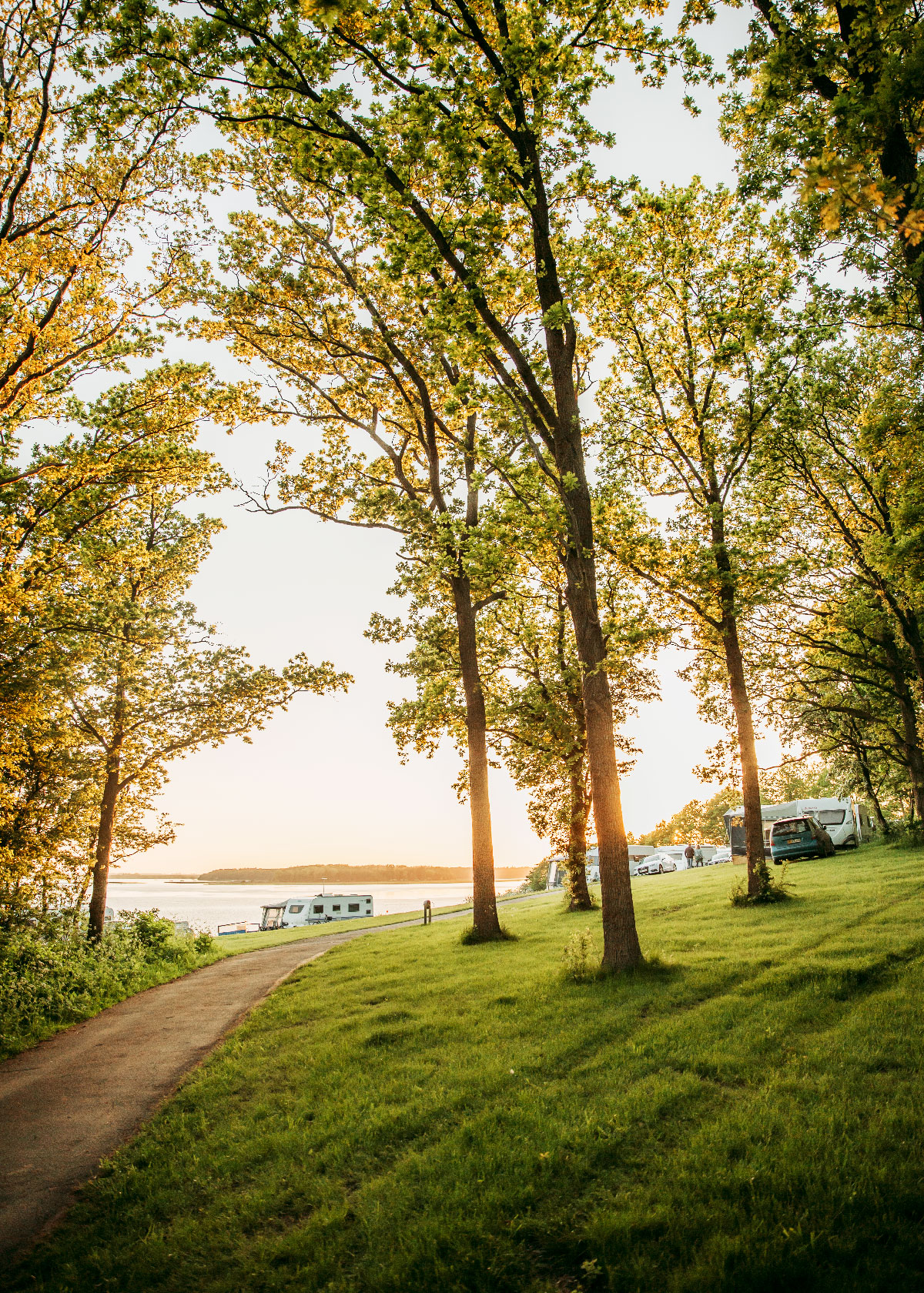 Roskilde Camping ved Roskilde Fjord