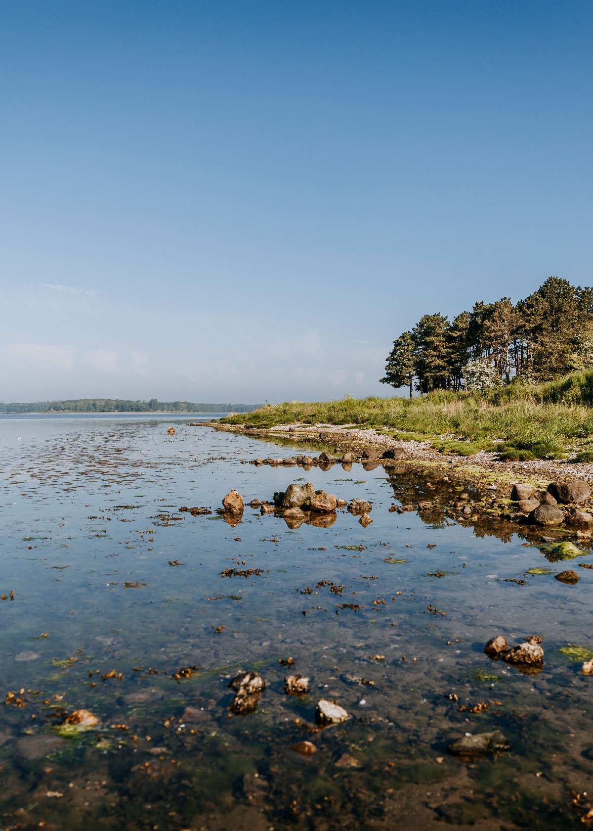  Roskilde Fjord