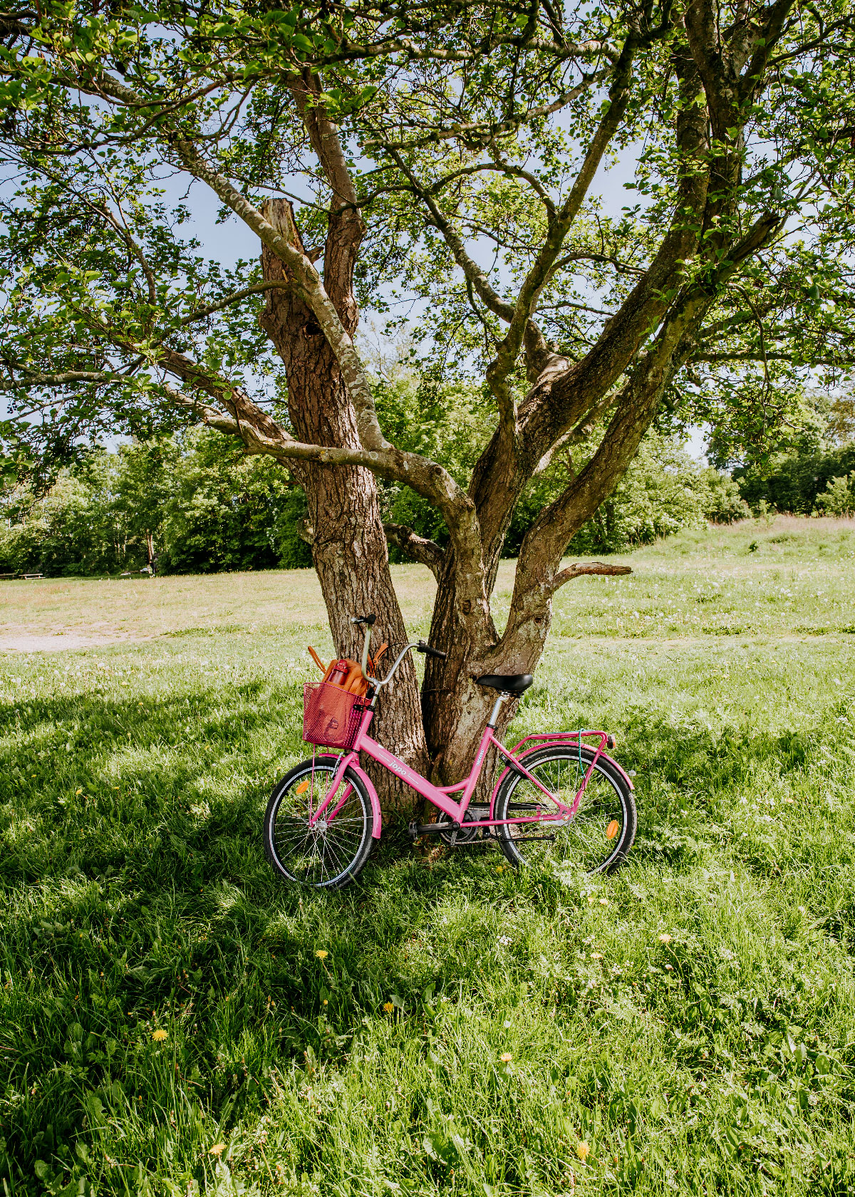 Cykling på Fjordstien - Salvadparken