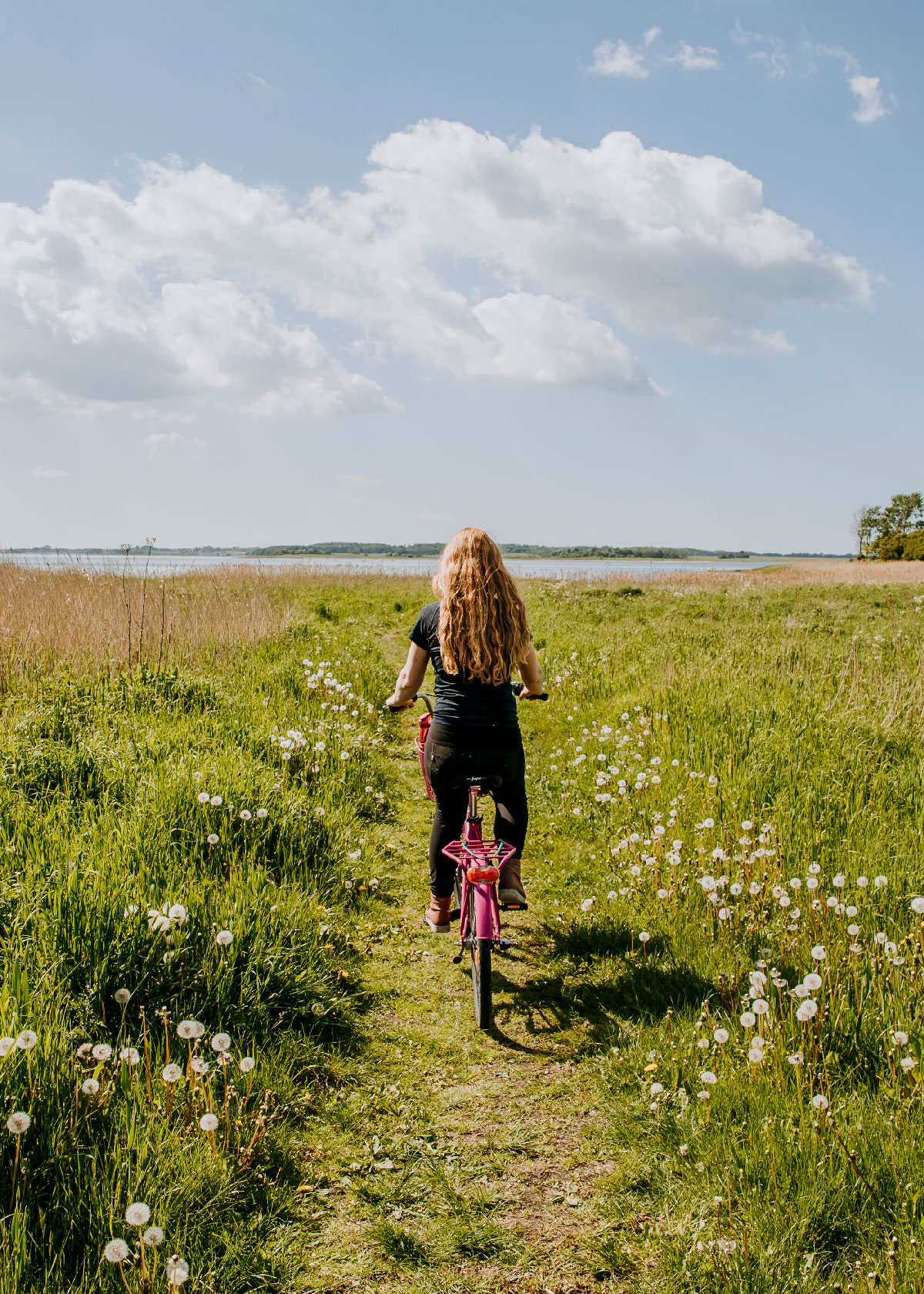 Cykling på Fjordstien - Salvadparken