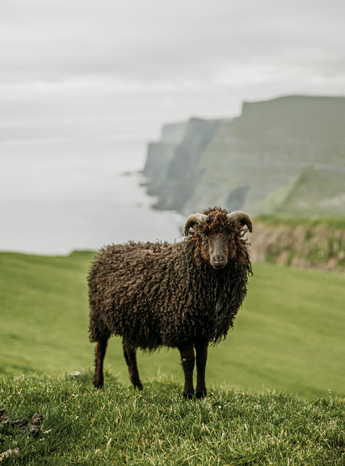 Færøerne - de fineste vandreture og udsigtspunkter