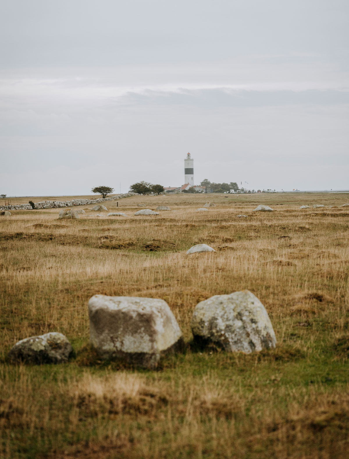 Det slettelignende landskab på Ölands sydspids med fyret Långe Jan i det fjerne