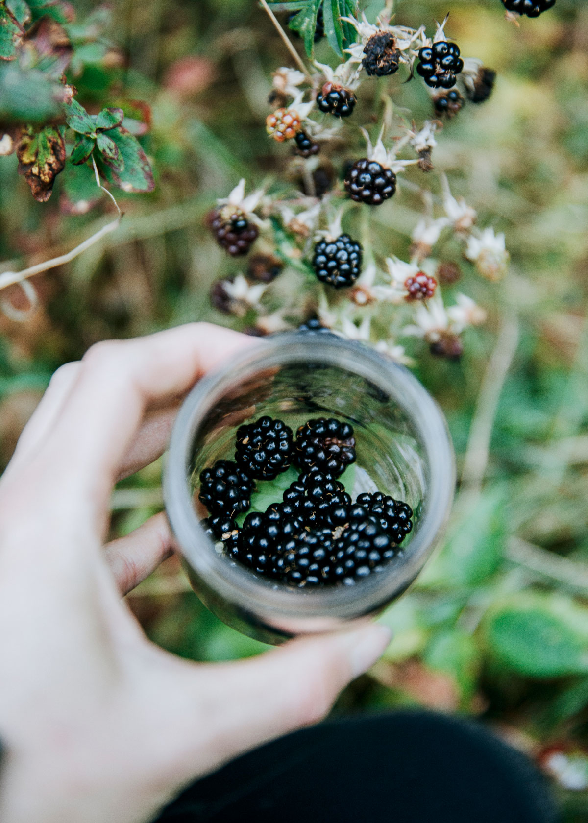 Sanketur med Robusta Äventyr i Skåne Sverige