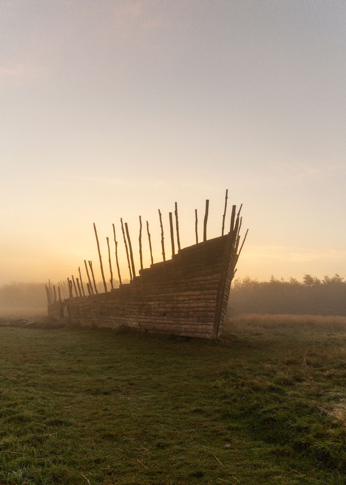 Amagerarken på Himmelhøj i nærheden af Naturcenter Amager