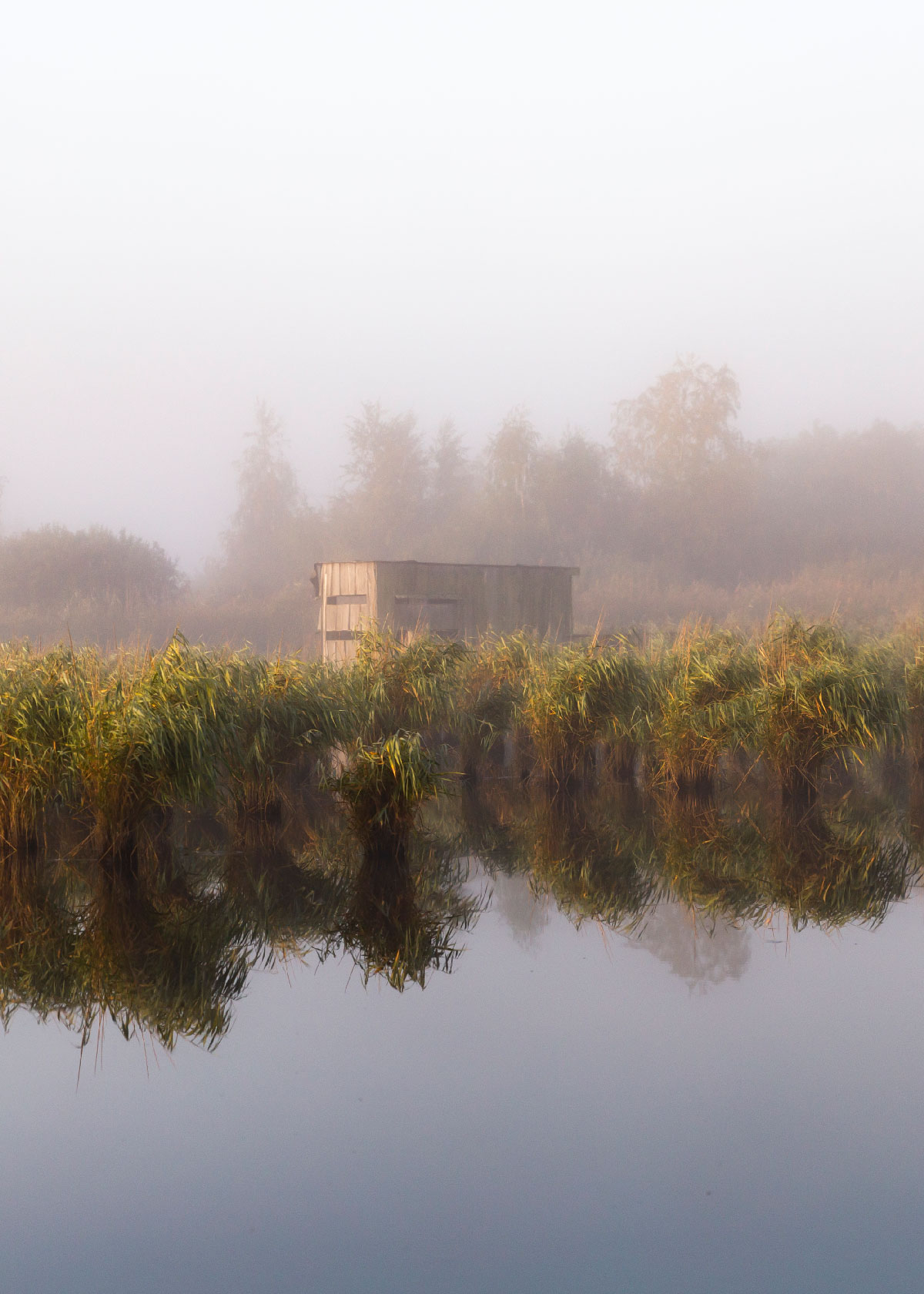 fugleskjulene i Store Høj Sø - Naturpark Amager