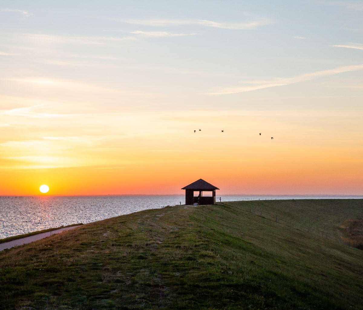 Fugleskjul i Naturpark Amager