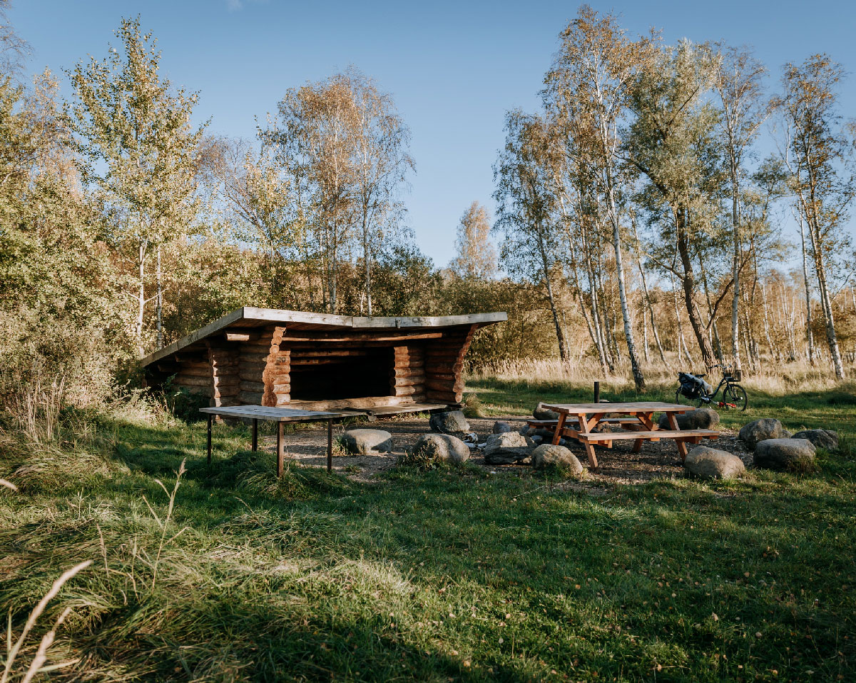 Ålen Shelter i Pinseskoven - Naturpark Amager