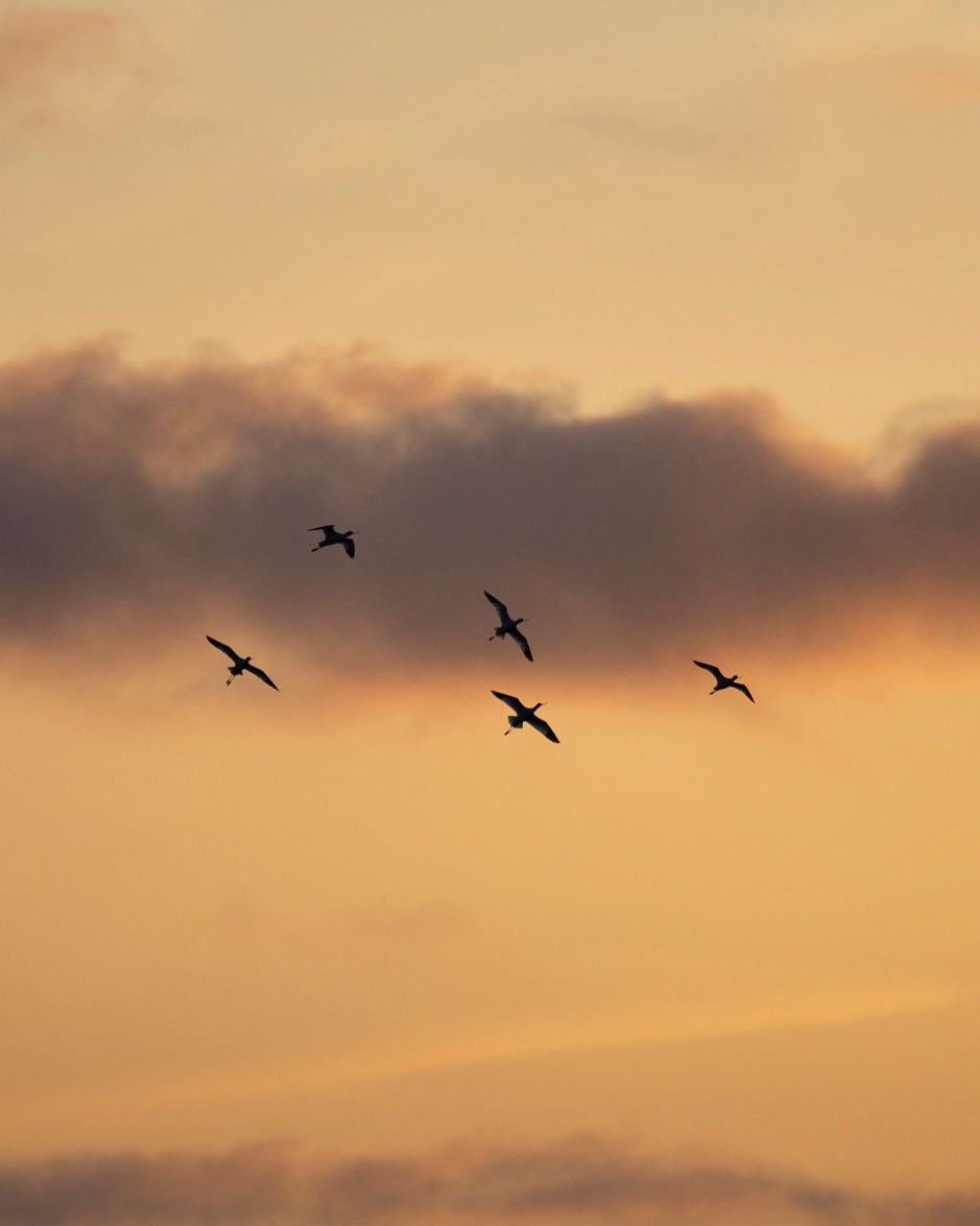 Flyvende klyder ved Vidåslusen