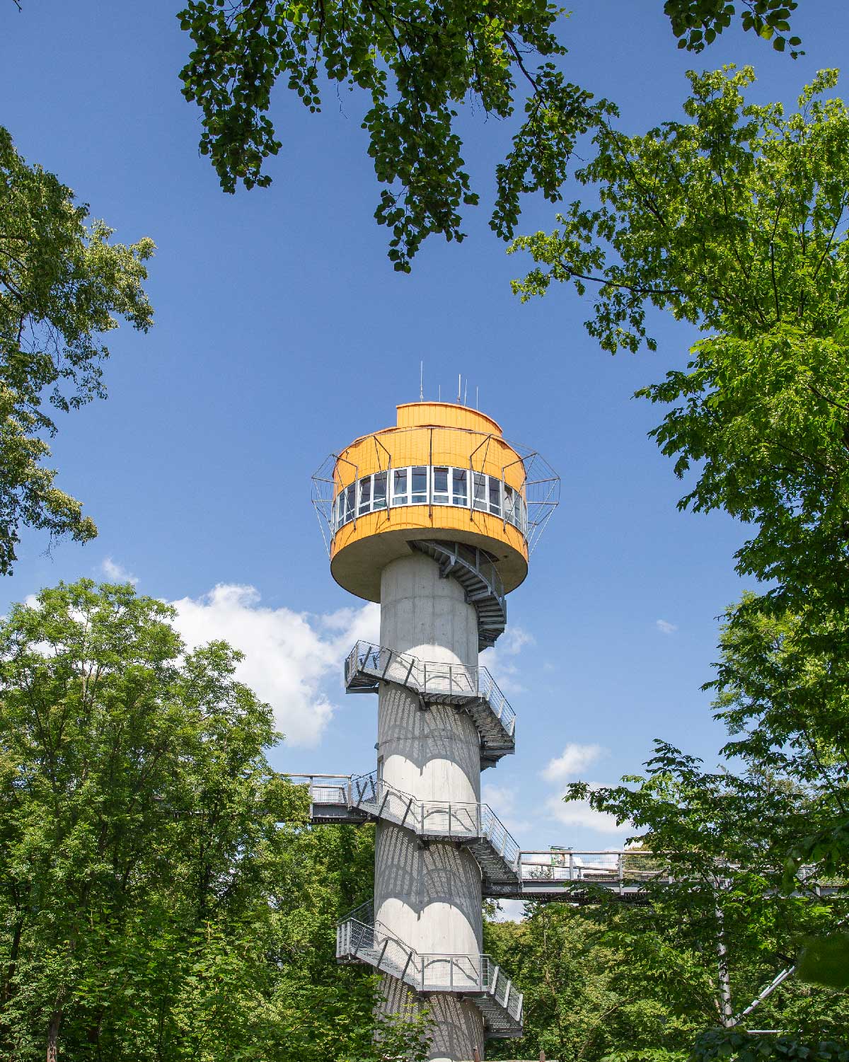 Trætoptårn i Hainich Nationalpark Thüringen