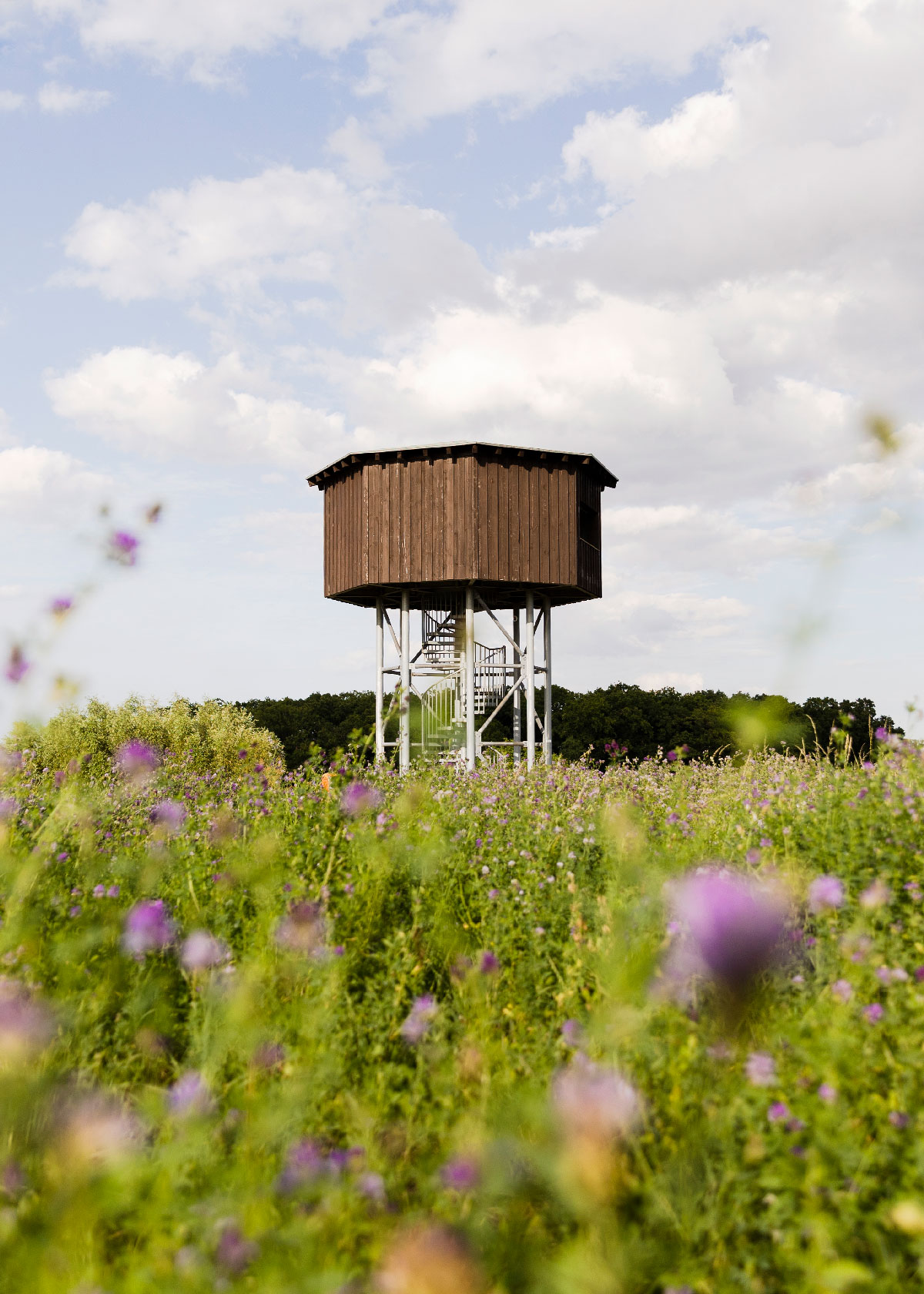 Aussichtsturm Peenetal bei Randow