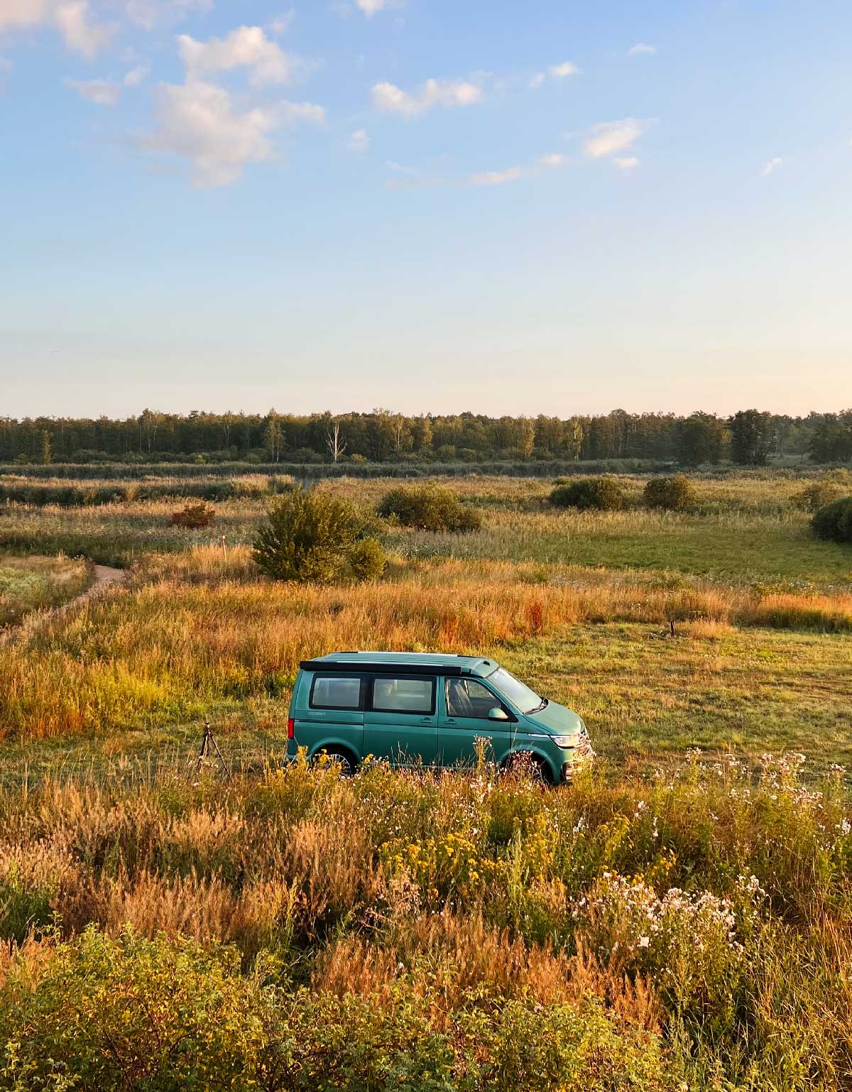 Volkswagen California