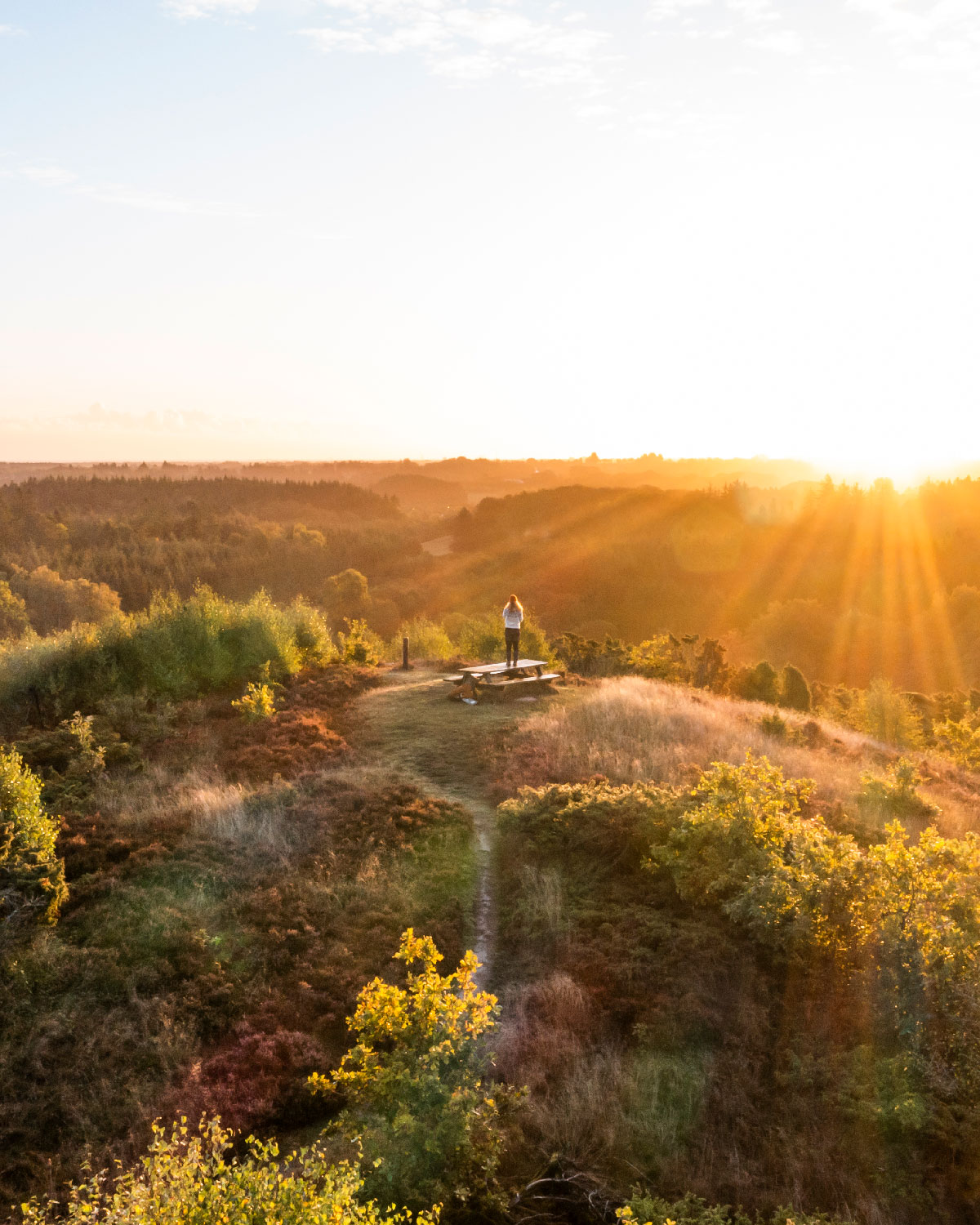 Katsig Bakker i Naturpark Tolne