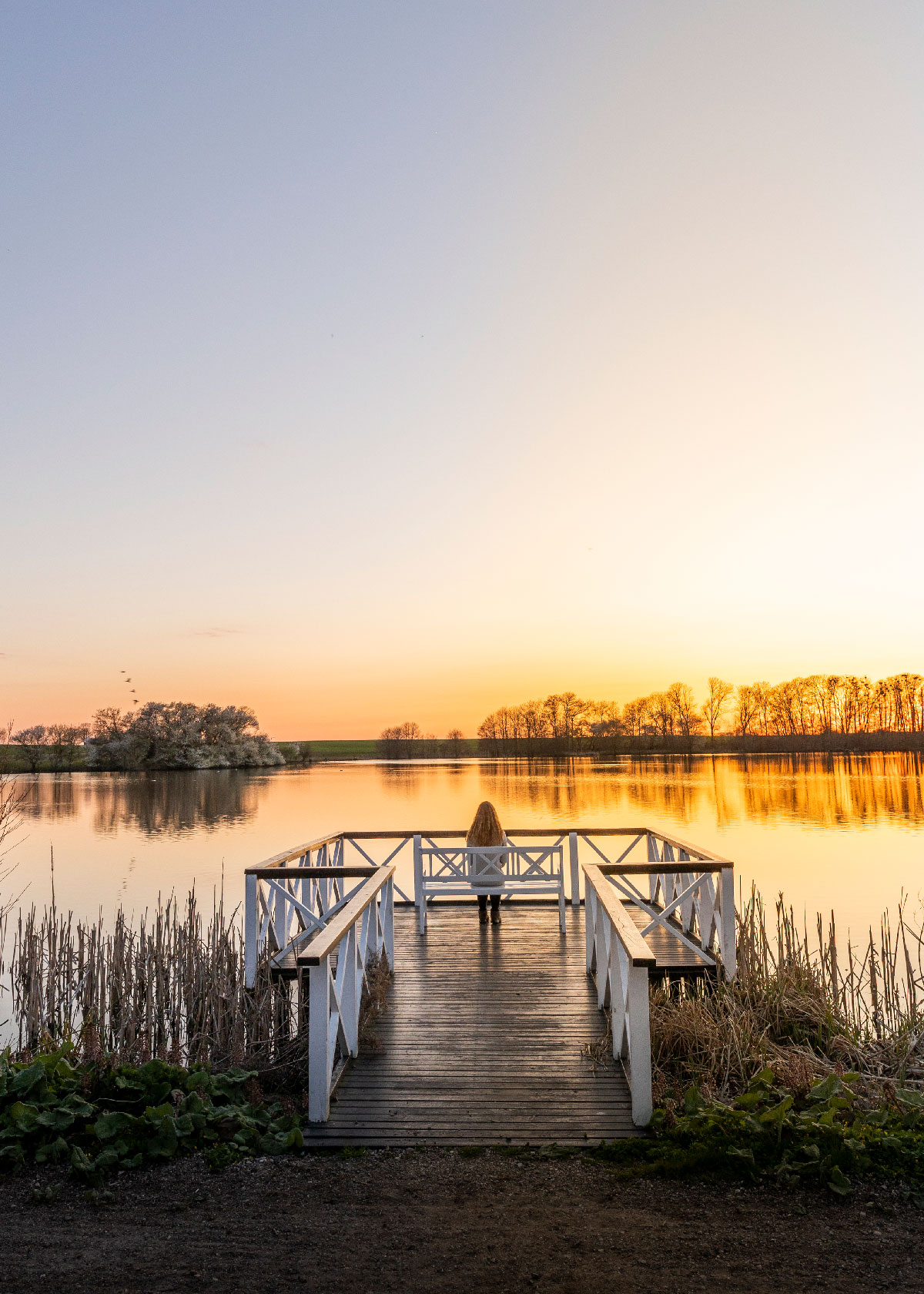 Søen ved Sørup Herregård